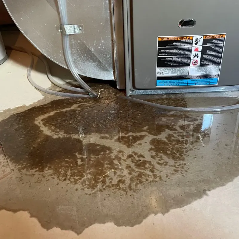 Pipe Burst and Leak Restoration in Miami County, IN